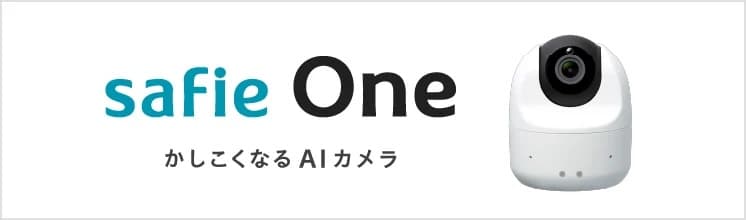 Safie One